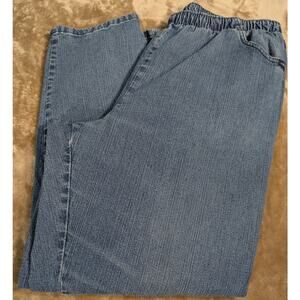 Vintage Chic Jeans Plus Size 20WP Petite Denim PullOn Elastic Waist Pockets
